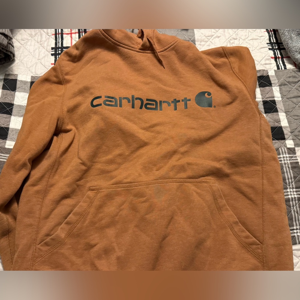 Carhartt Rust Brown/Orange Hoodie